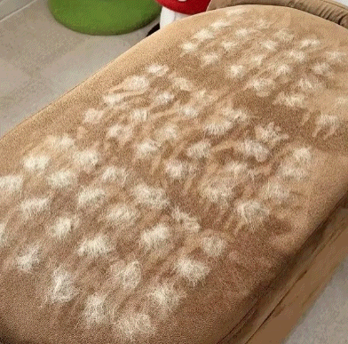 FURGO™ – The Smarter Way to Remove Pet Hair