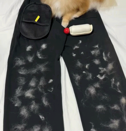 FURGO™ – The Smarter Way to Remove Pet Hair