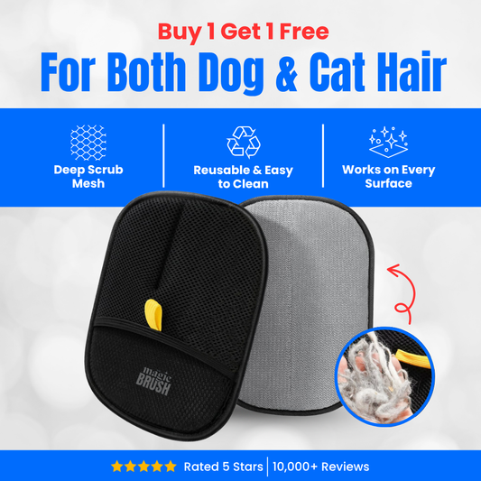 FURGO™ – The Smarter Way to Remove Pet Hair