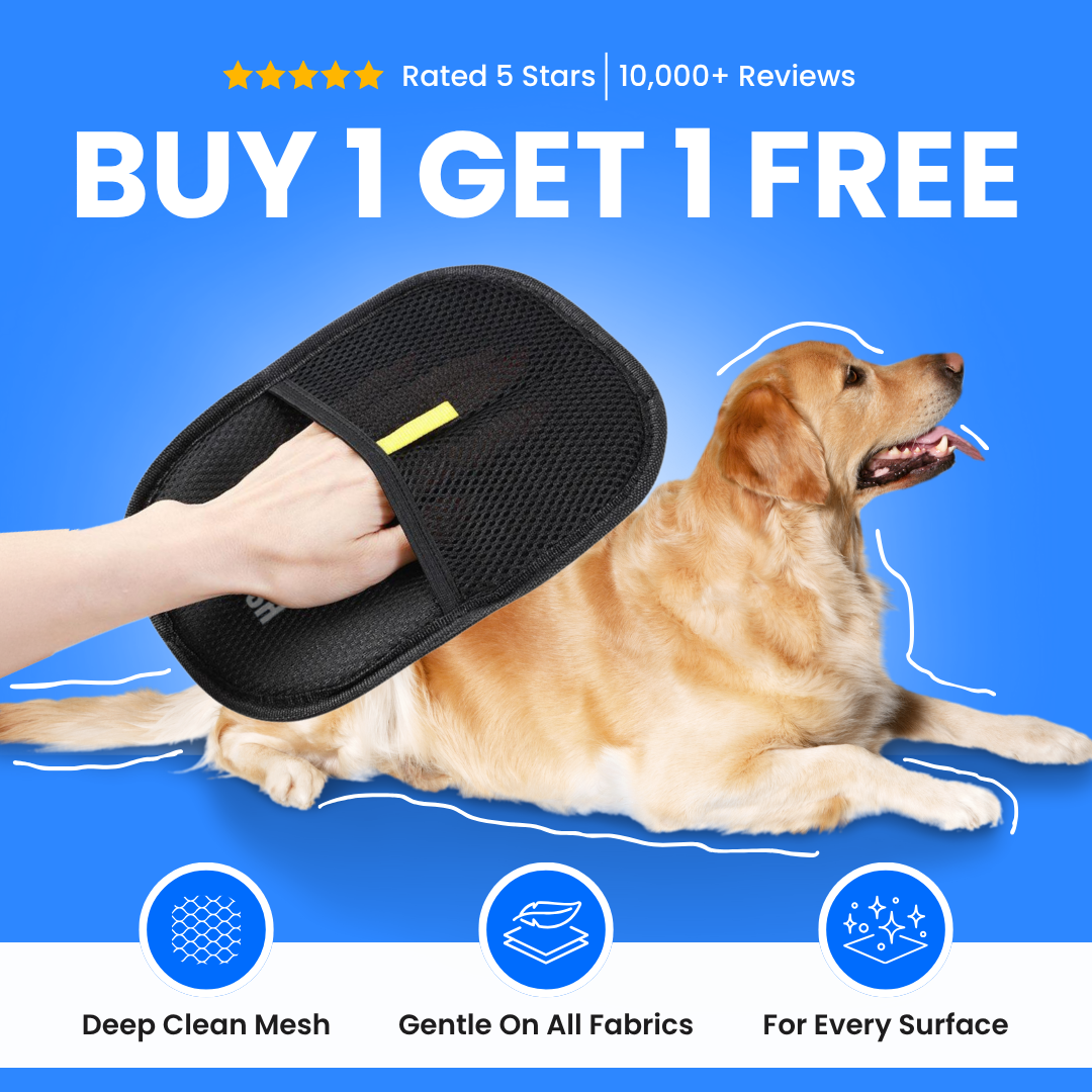 FURGO™ – The Smarter Way to Remove Pet Hair