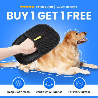 FURGO™ – The Smarter Way to Remove Pet Hair